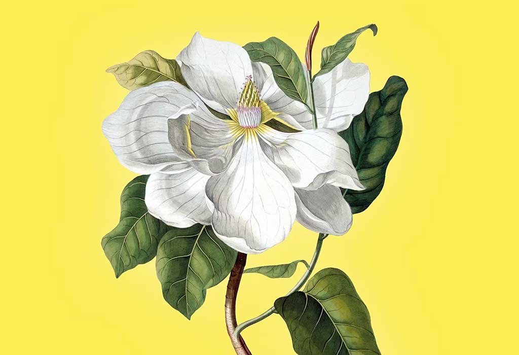 tre giorni per il giardino