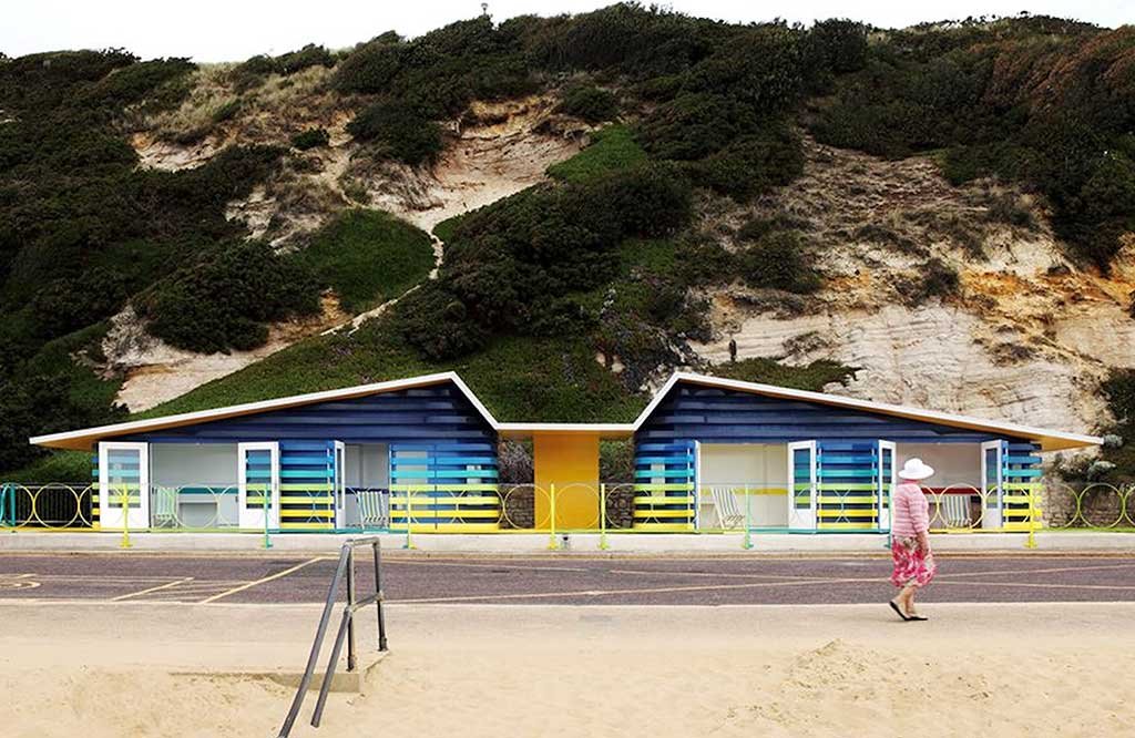 The-Seagull-and-the-Windbreak