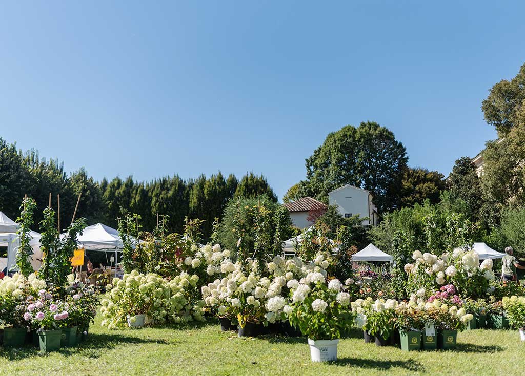 horti-aperti