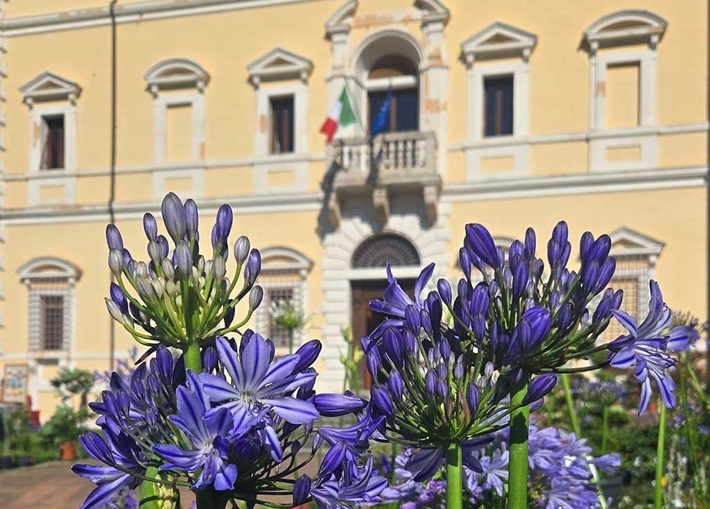 perugia-flower-show