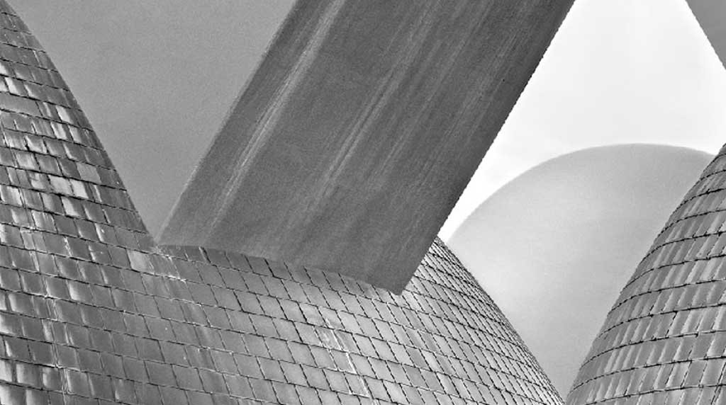 installazione-pino-musi