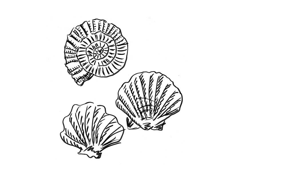 disegni-fatti-a-mano-per-tessuti