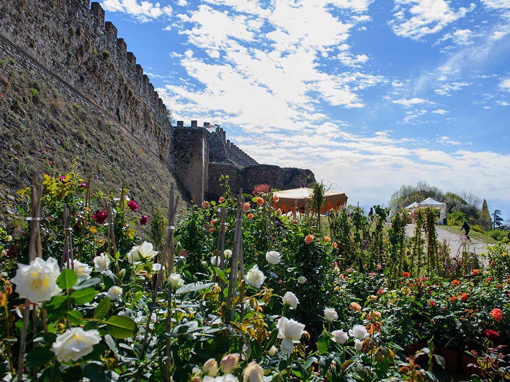 evento-fiori-nella-rocca