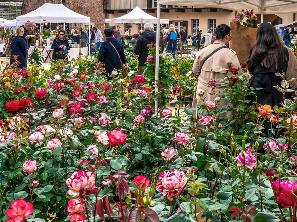 fiorissimo-al-castello