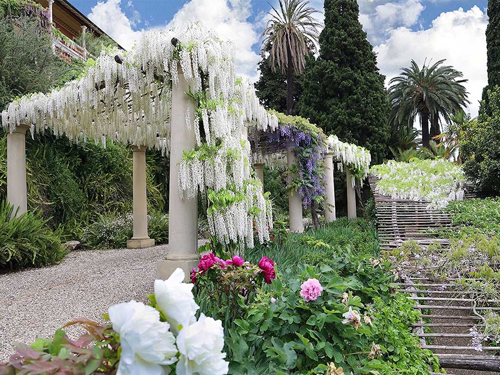 glicine-villa-la-pergola