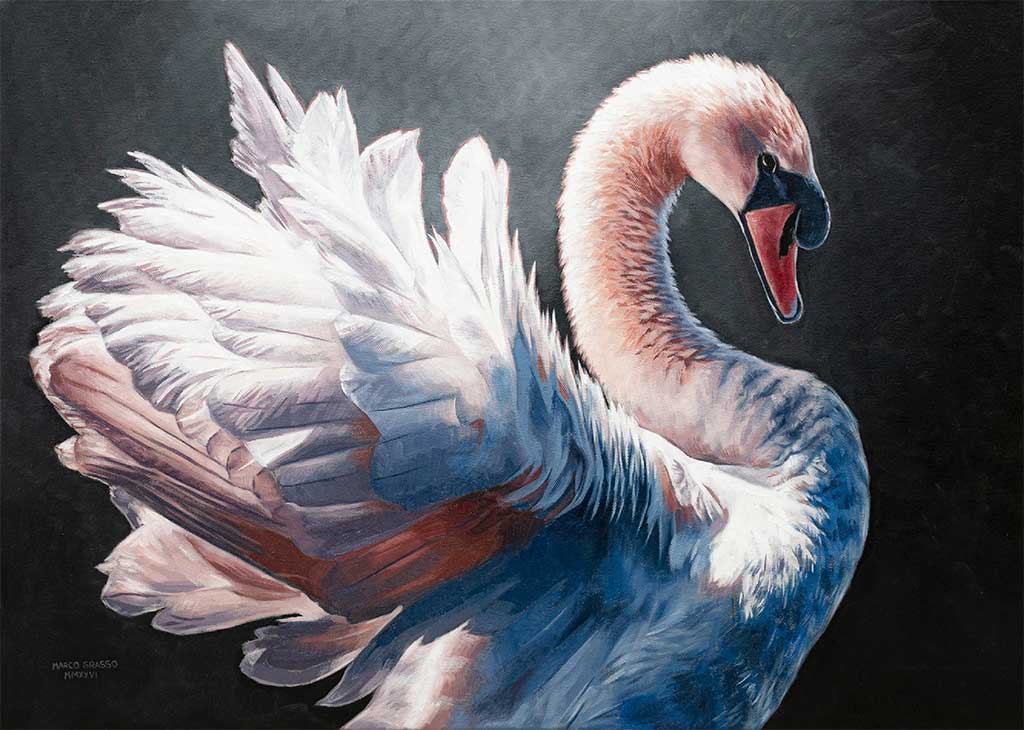 marco-grasso-grace-olio-su-tela