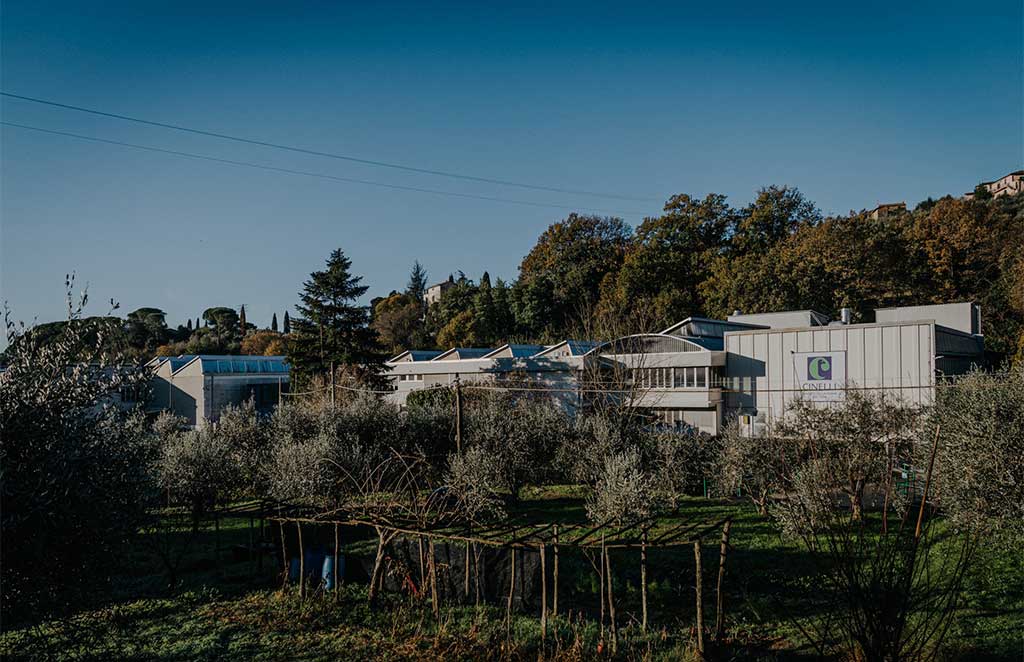 vista azienda cinelli