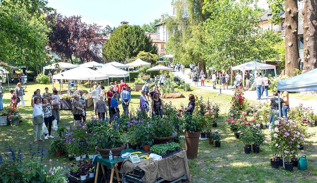 fiera-verde-menta-e-rosmarino