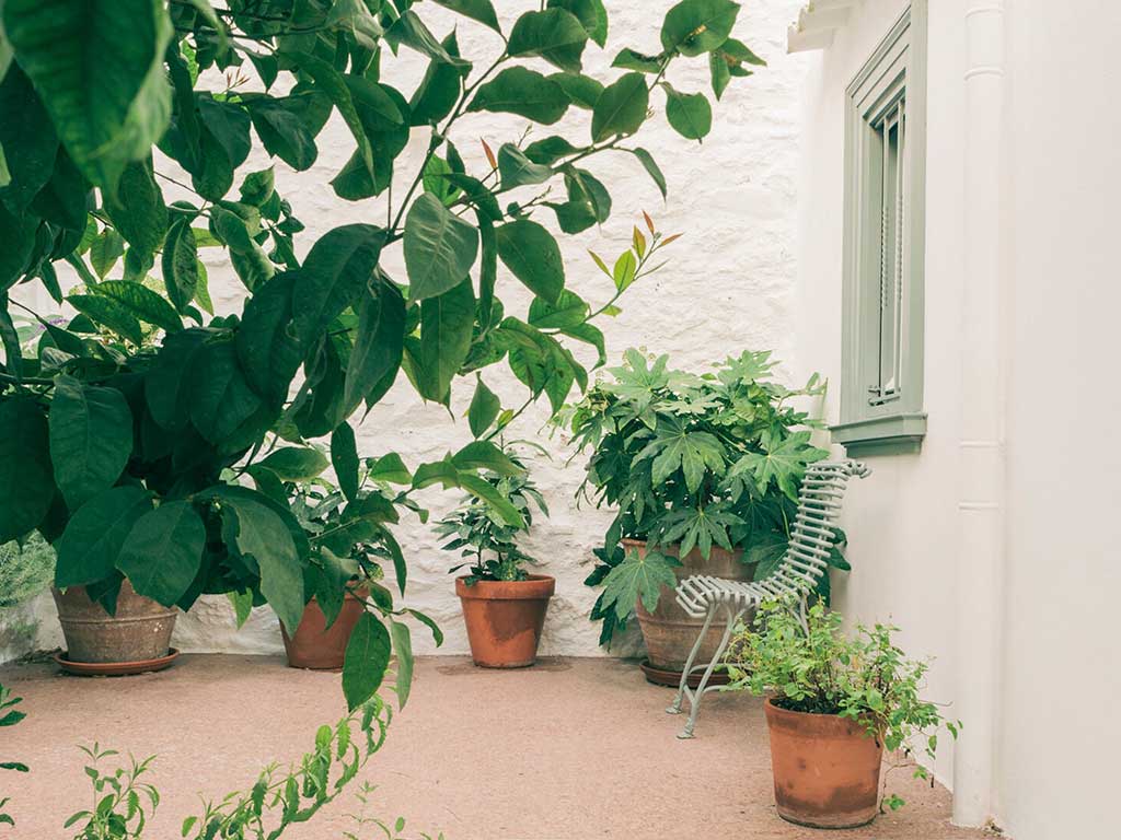 patio-interno-cucina-casa-plaka