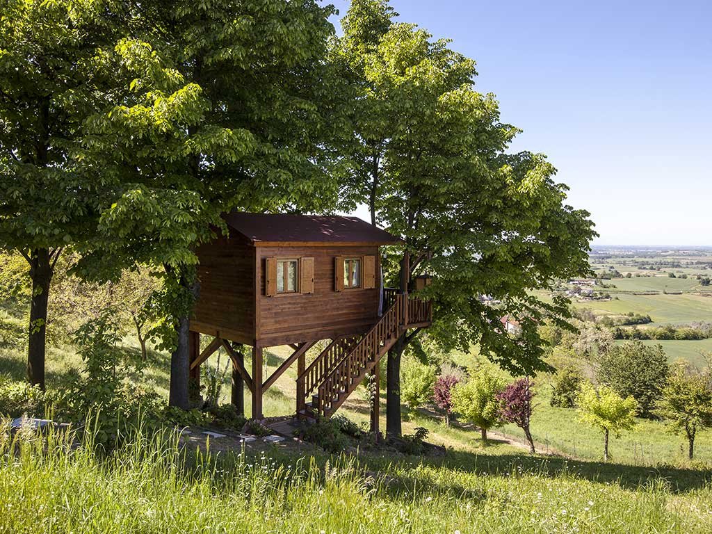 casa sull'albero airbnb