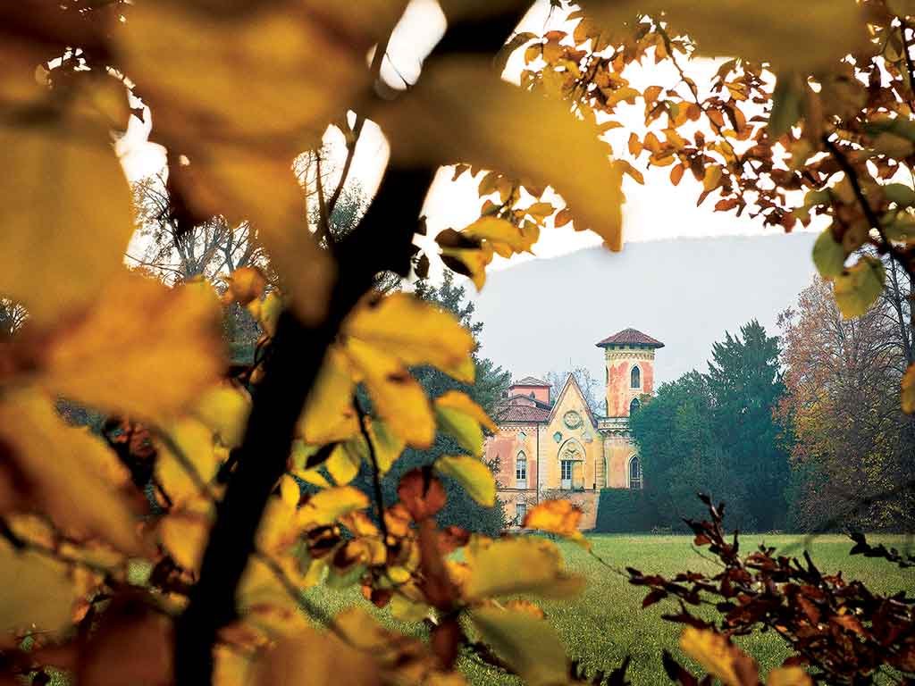 boschi incantati