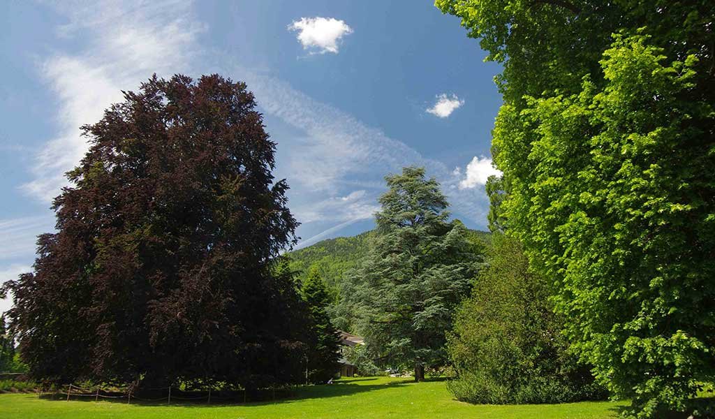 giardini italiani