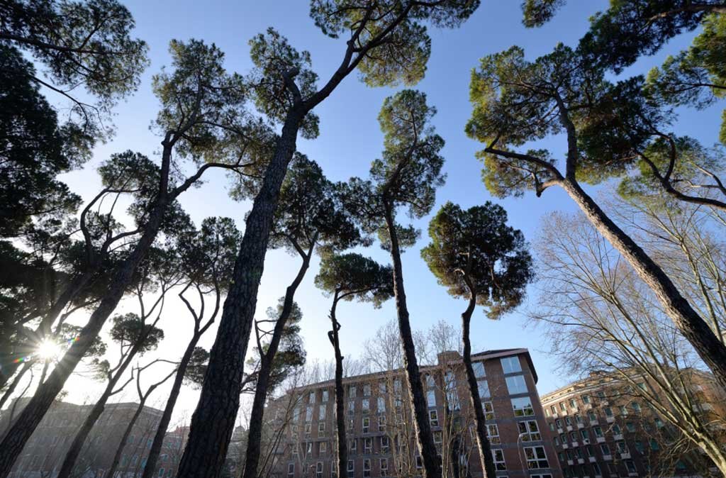 bosco urbano roma