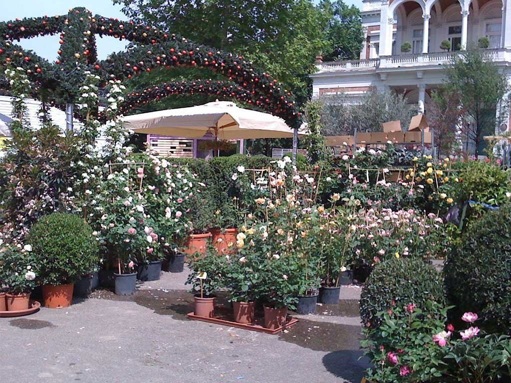 mercatino piante e fiori esposizione