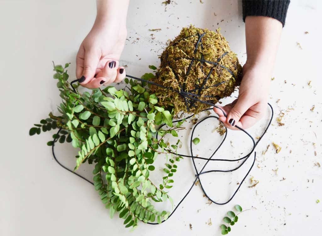 chiudere mani kokedama filo