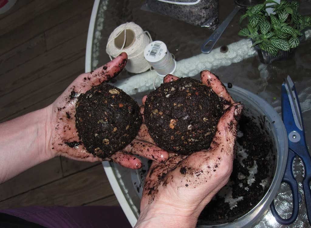 palline terra kokedama