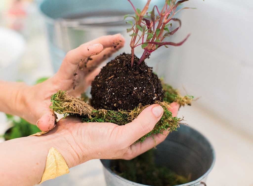 ricoprire kokedama muschio