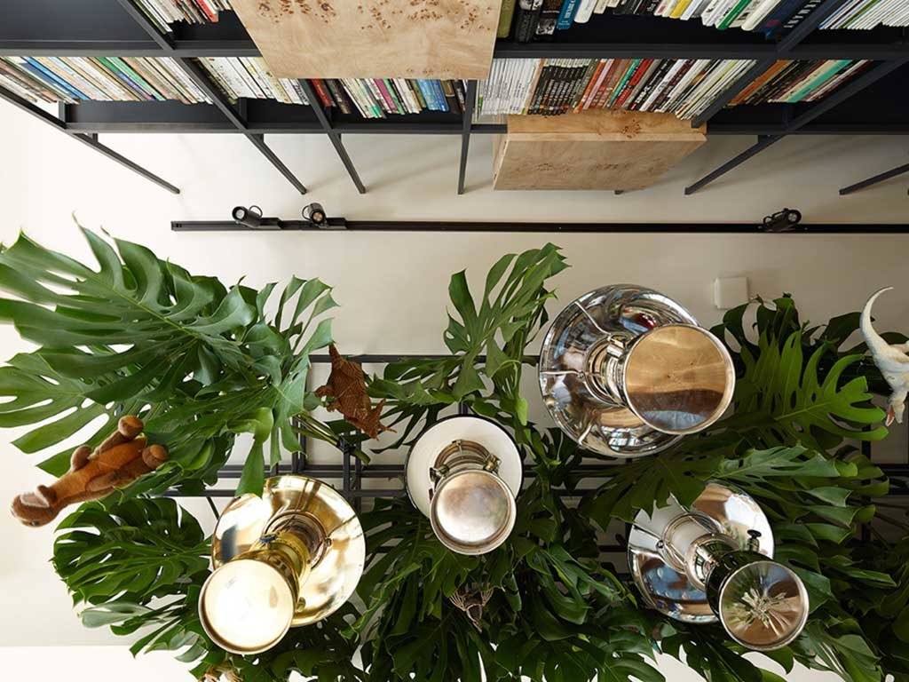 piante appese soffitto cucina