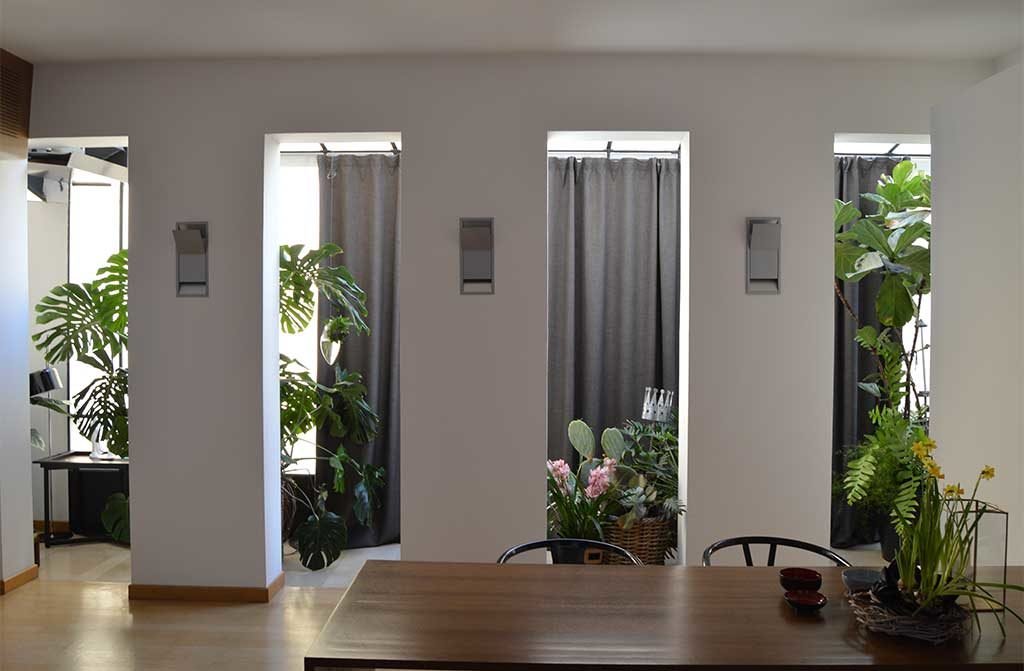 living con piante e fiori