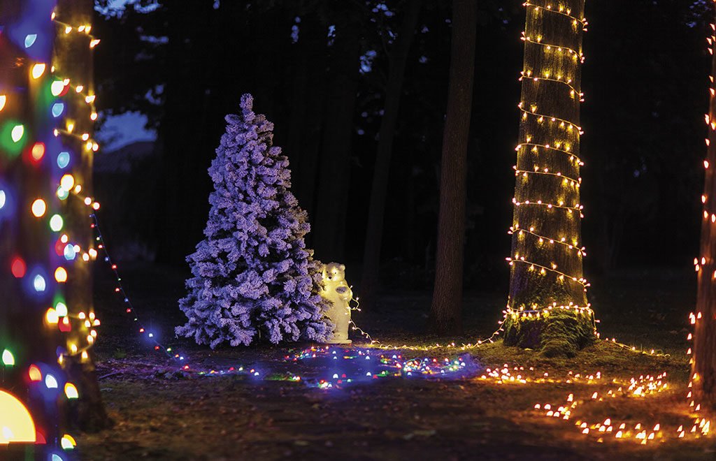 decorazioni natale outdoor