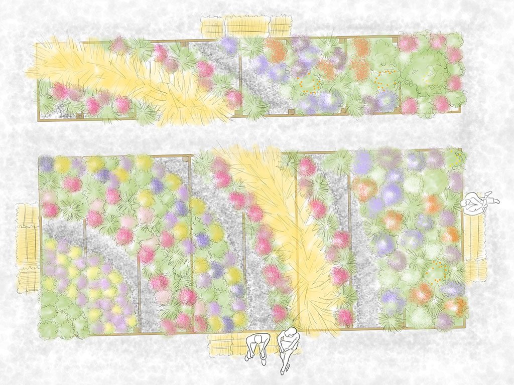 arcobaleno di spighe progetto verde