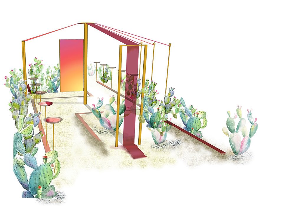 carmine catcher progetto verde