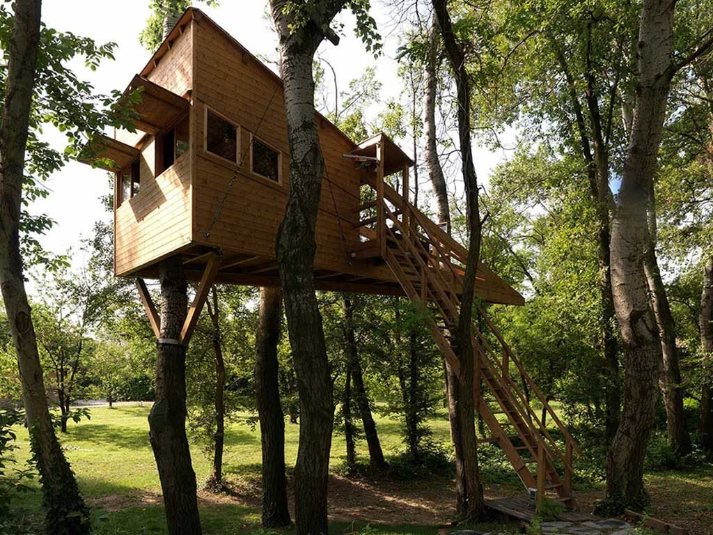 casa su albero vista lato
