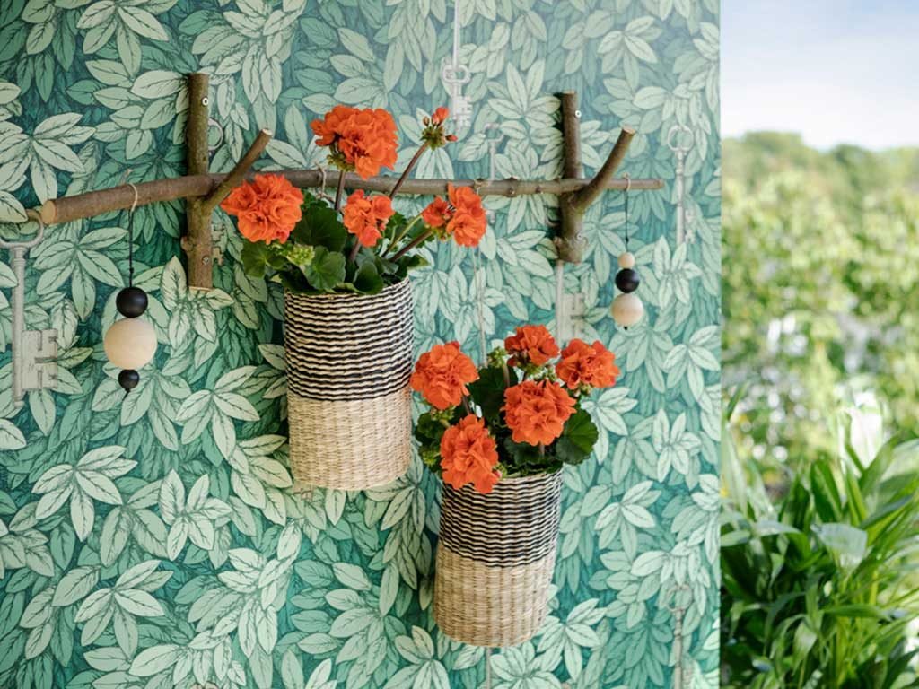 gerani vasi parete diy