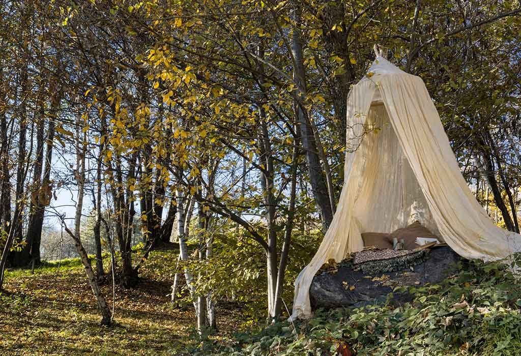 esterno tenda albero
