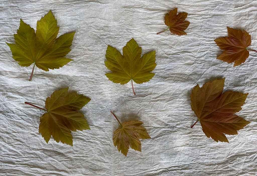 foglie verdi tessuto