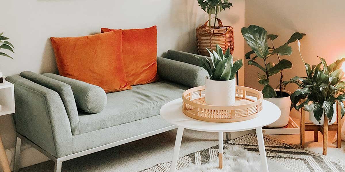 living con piante e verde