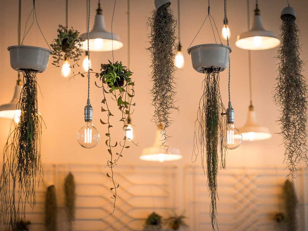 illuminazione risparmio energetico