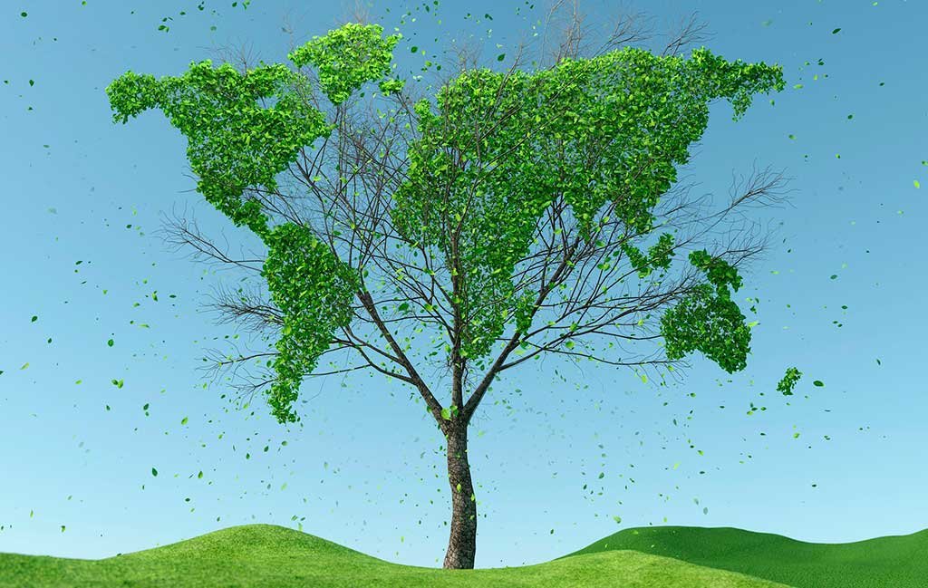 grafica albero mappamondo