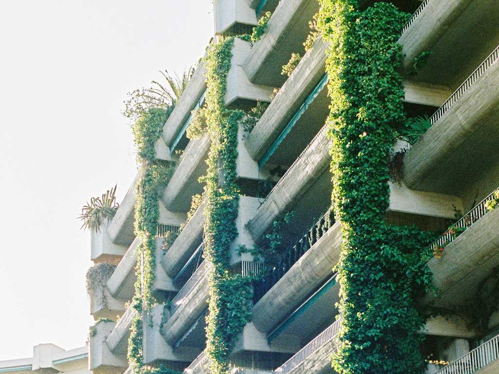 facciata palazzo piante