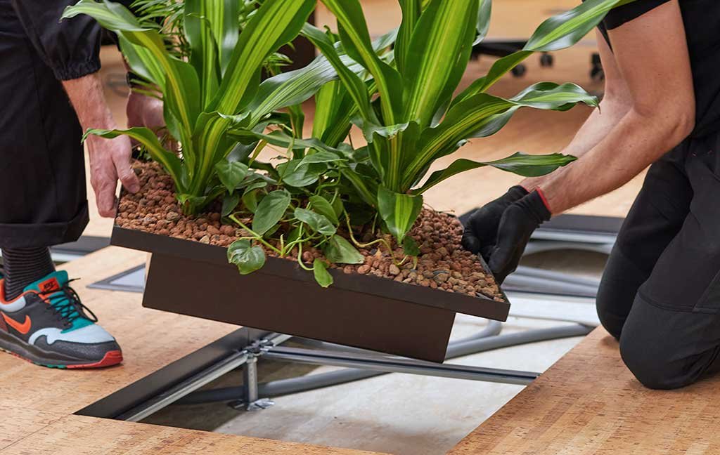 modulo verde pavimento installazione