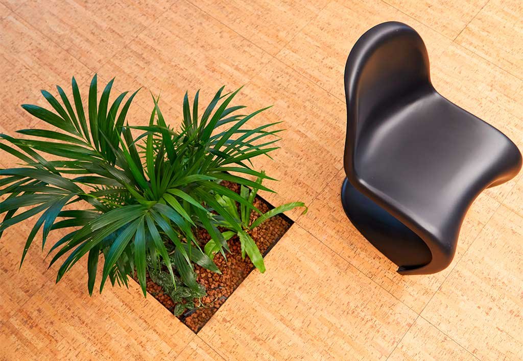 vaso piante filo pavimento