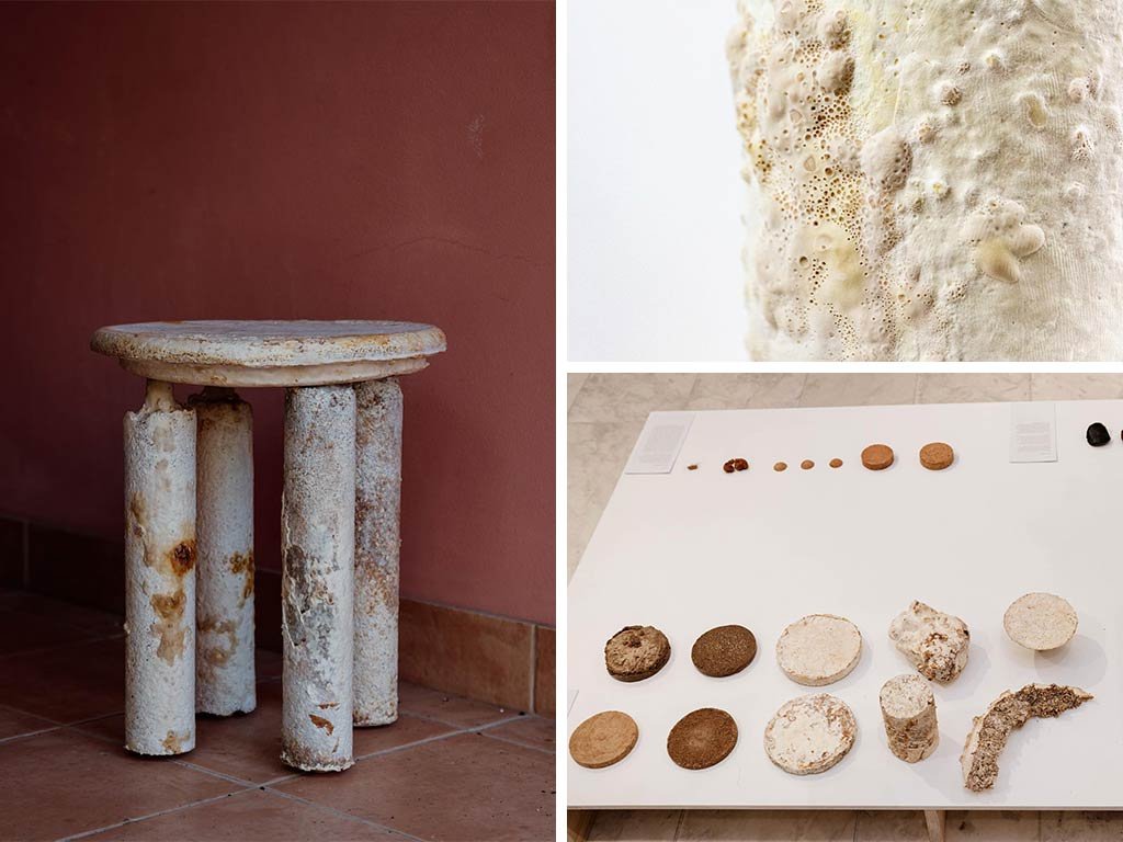 sgabello composto da funghi e dettagli struttura
