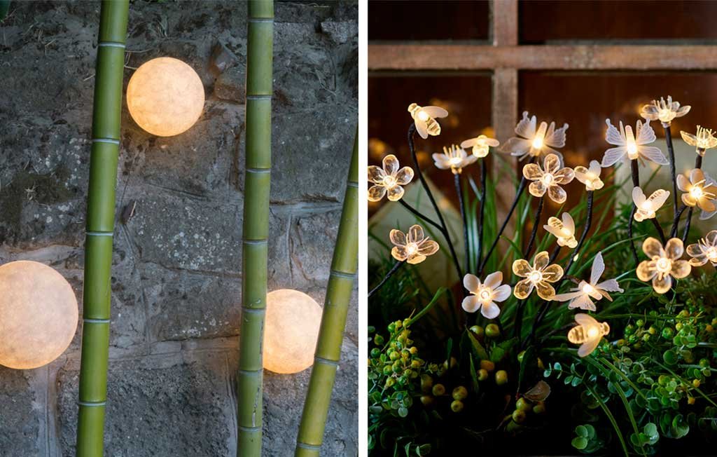 punti luce fiori insetti