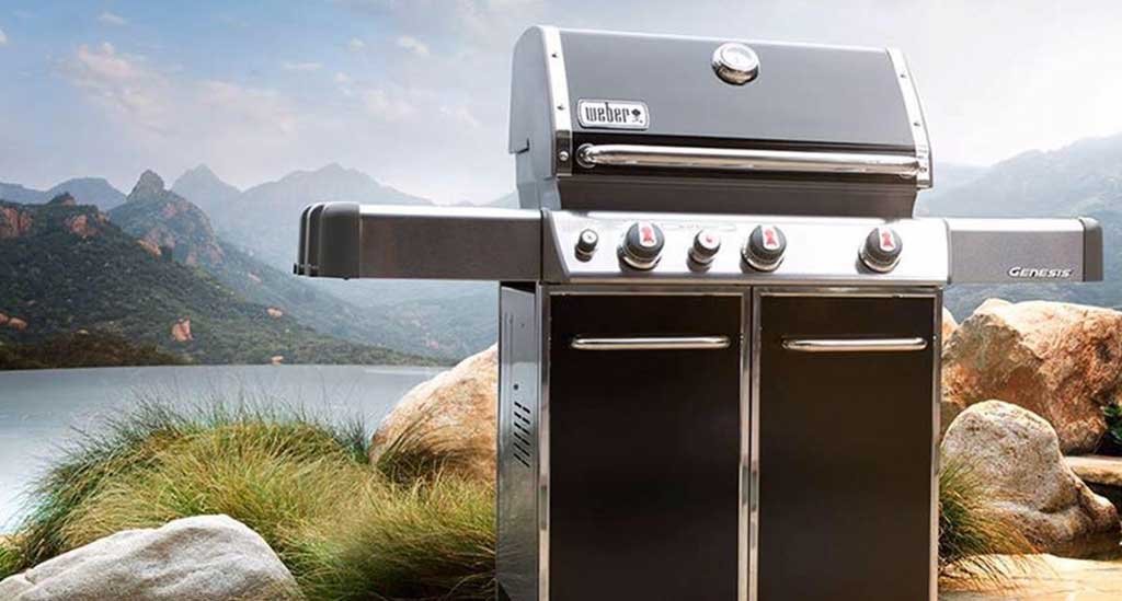 weber genesis
