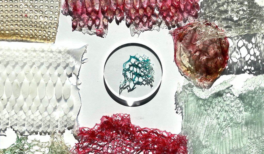 materiale biotessile trasparente bianco rosso azzurro