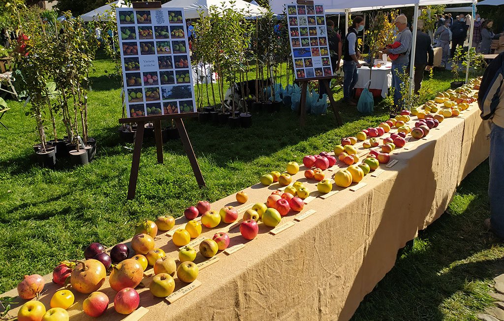 frutti antichi evento