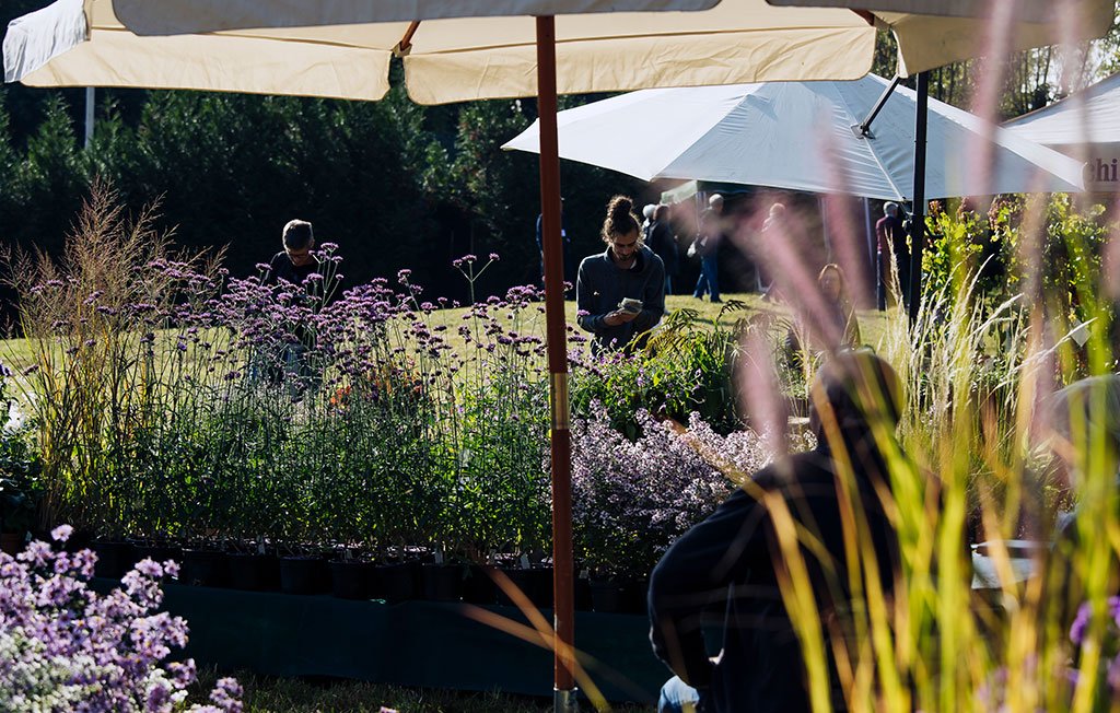 yougardener varese villa craven