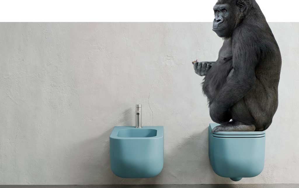 gorilla su wc azzurro