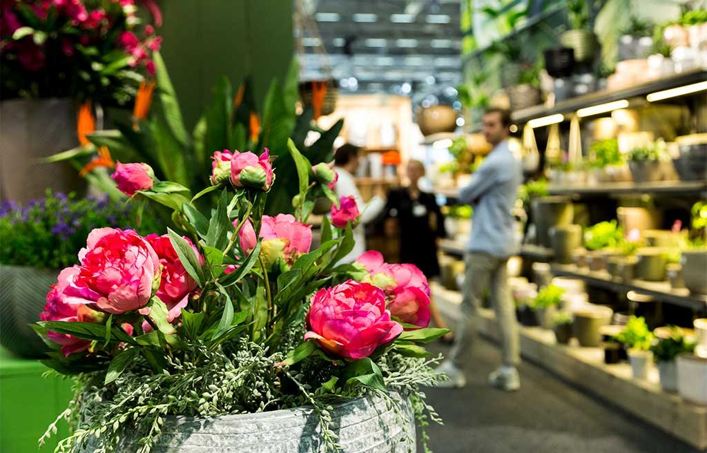 fiori e vasi