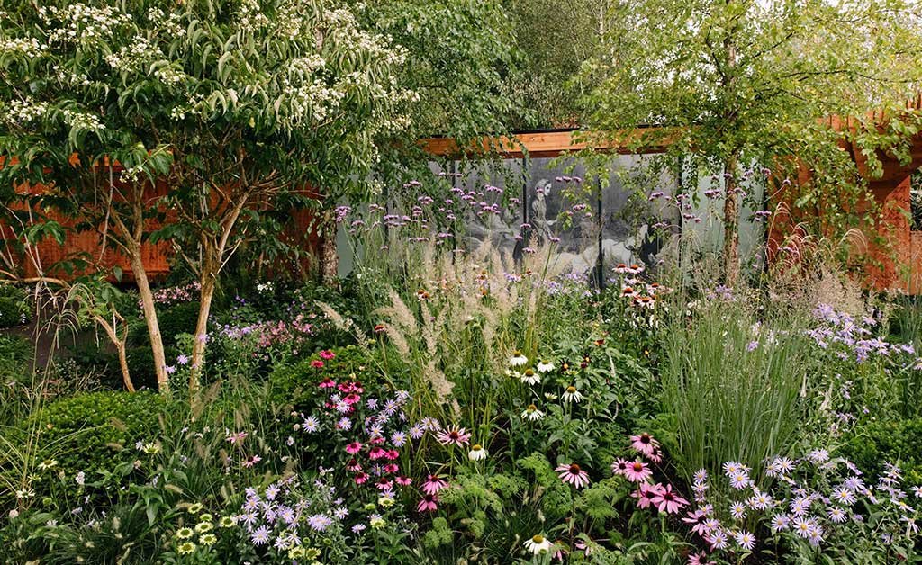 chelsea flower show