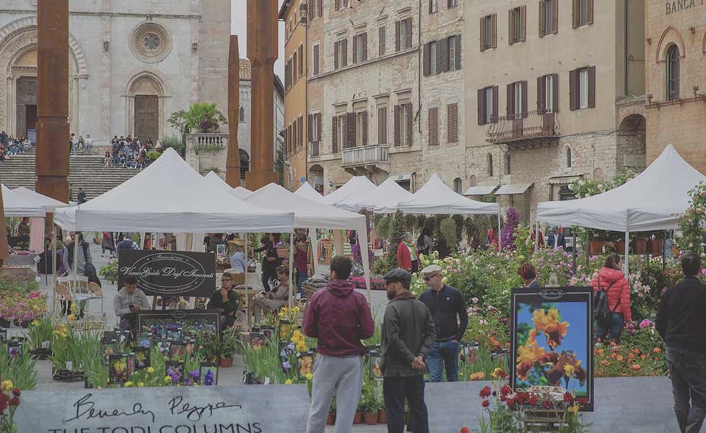 todi fiorita