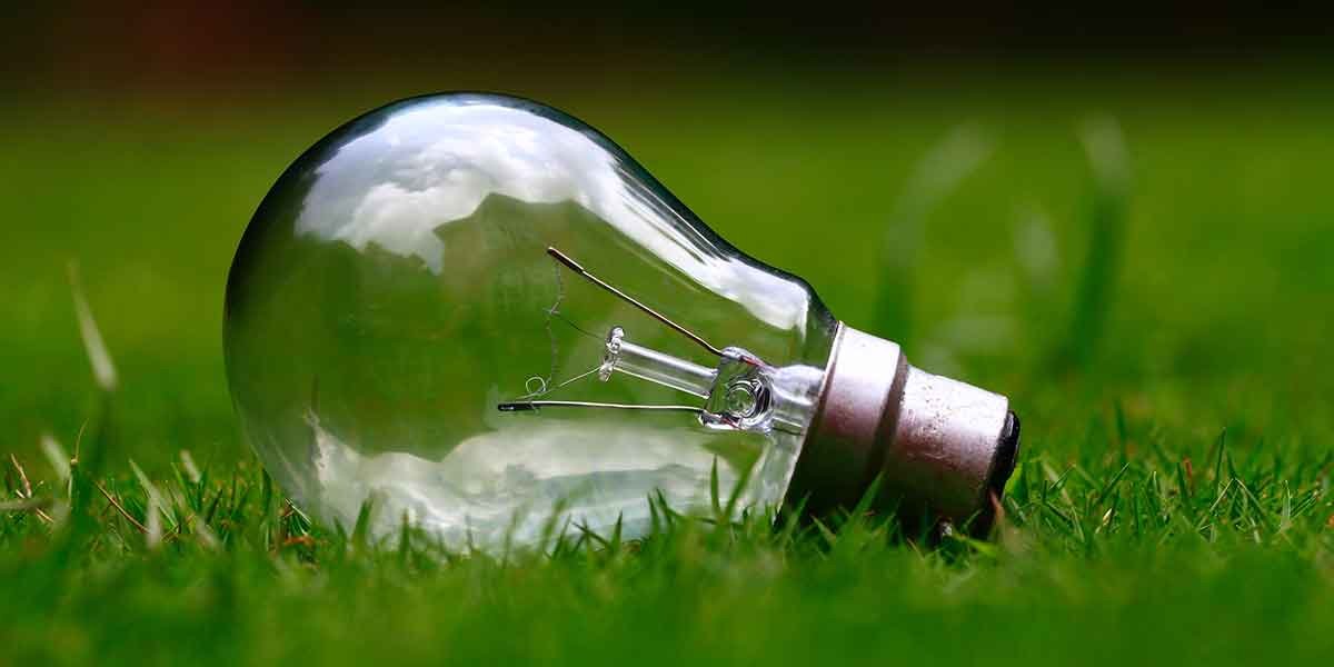 lampadina appoggiata erba prato