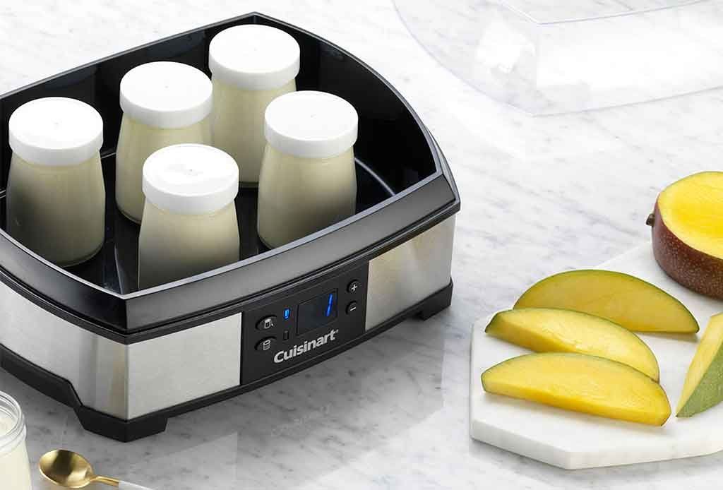 yogurtiera formaggiera