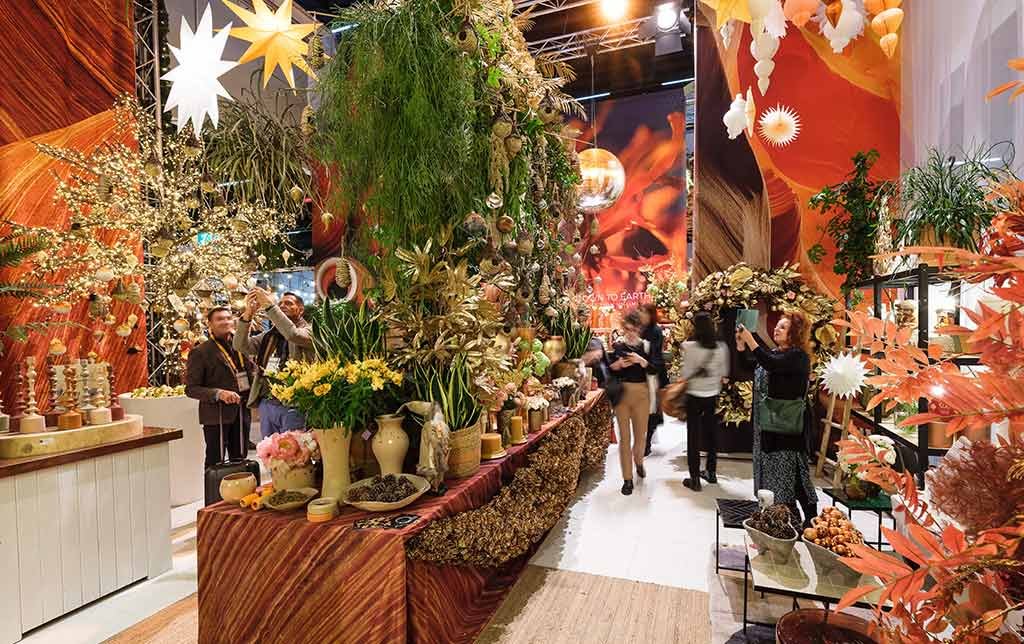 decorazioni piante natale