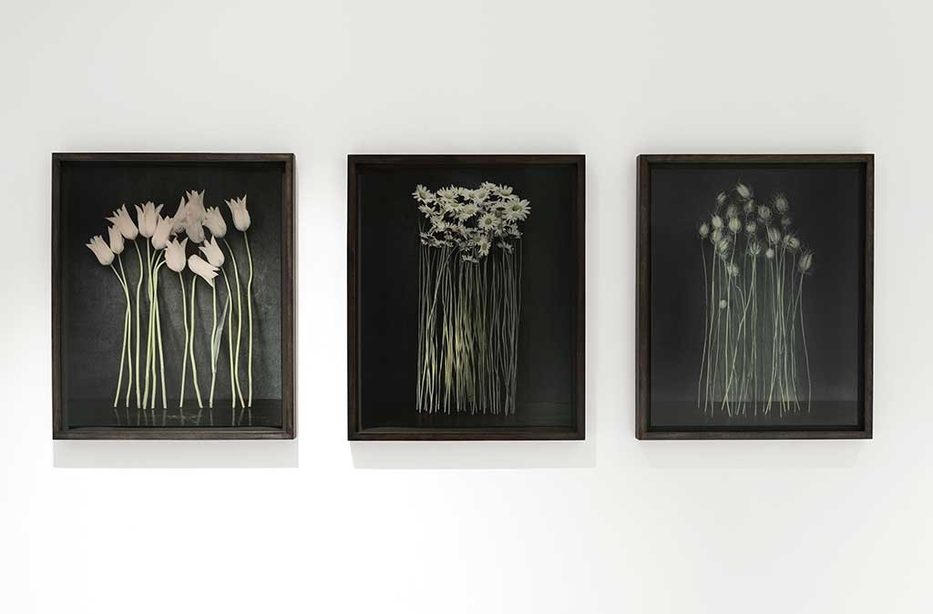 nature morte gaggenau